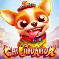 Casino Webcam SLOT JILI Login